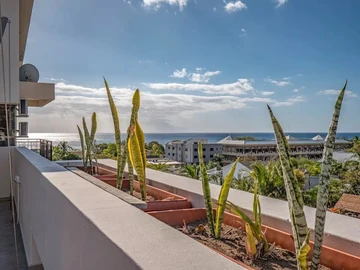 Penthouse de 3 Chambres